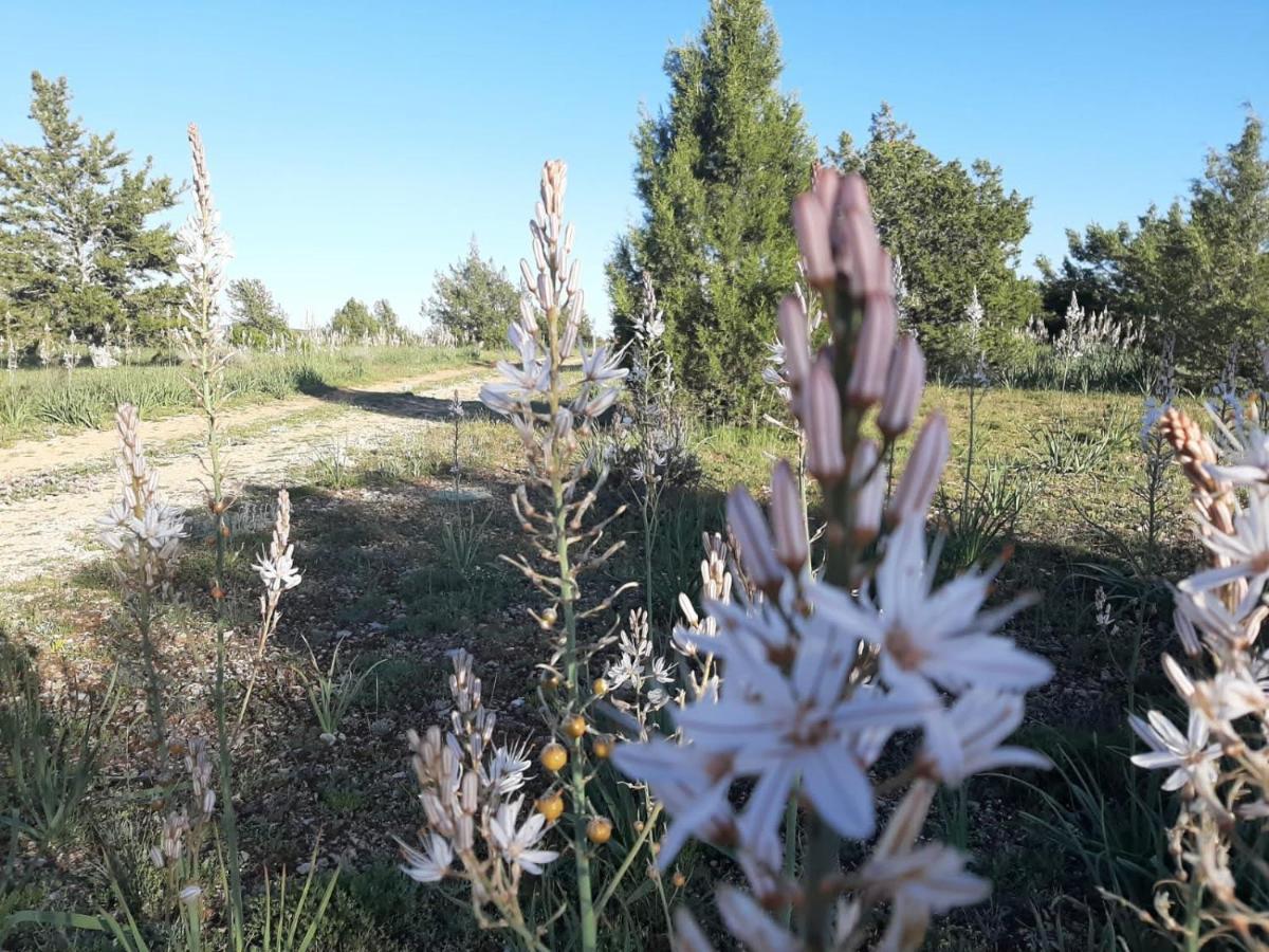 Casa Rural Sierra Del Solorio Iruecha المظهر الخارجي الصورة